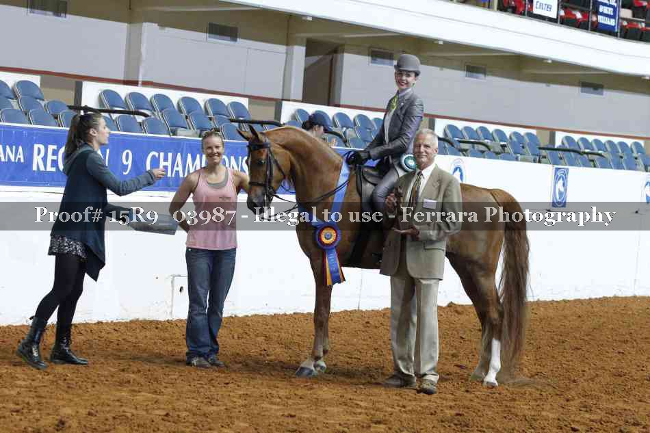 Proof Number 15R9_03987