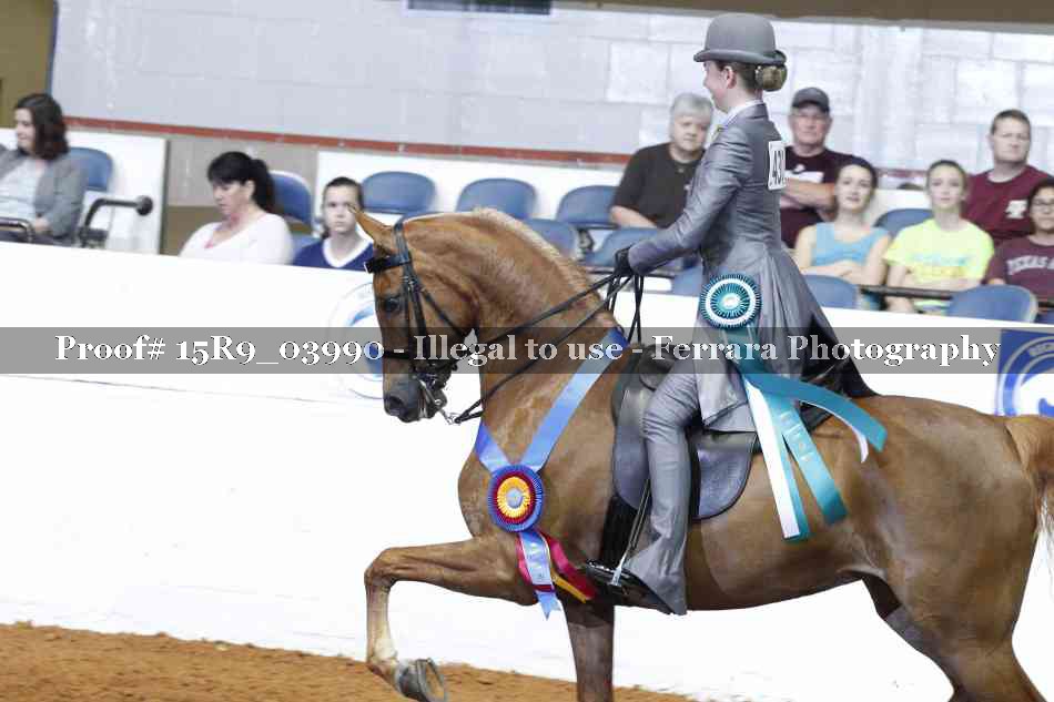 Proof Number 15R9_03990
