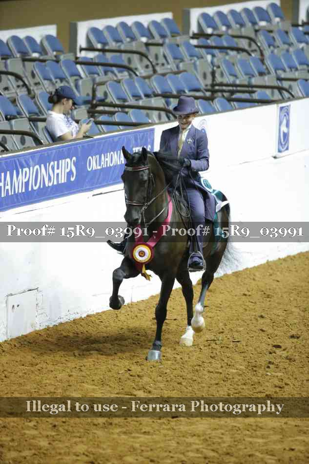 Proof Number 15R9_03991