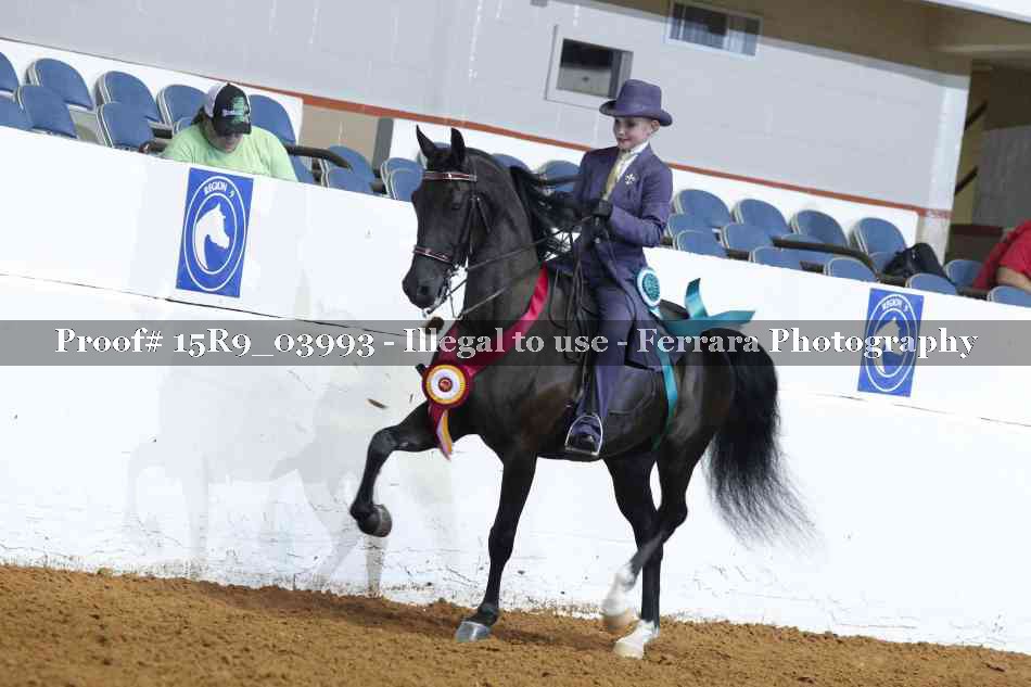 Proof Number 15R9_03993