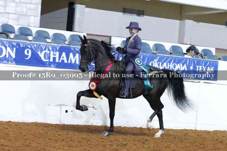 Proof Number 15R9_03995