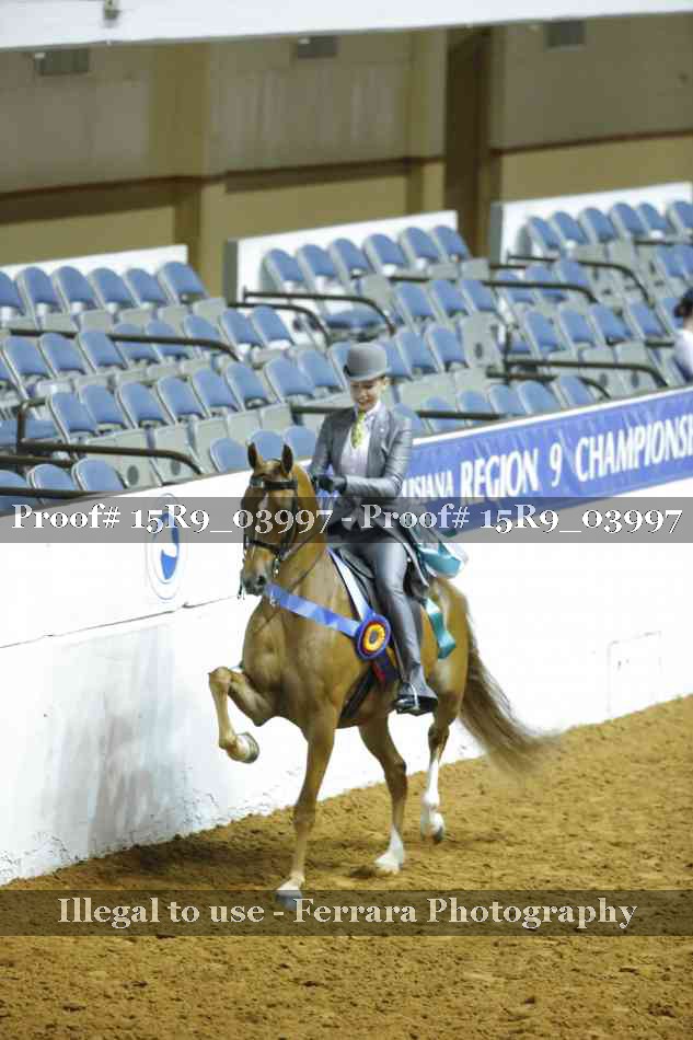Proof Number 15R9_03997