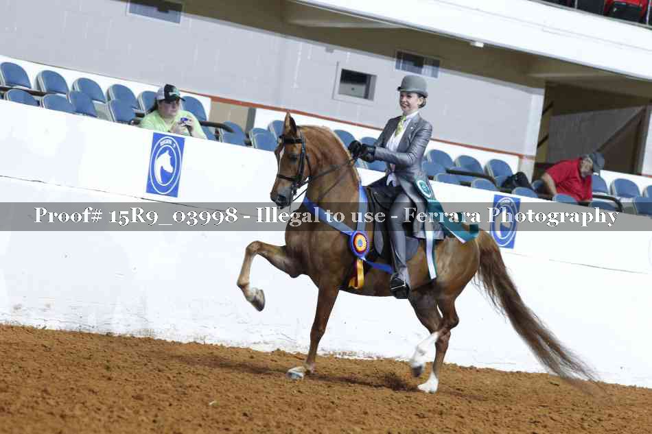 Proof Number 15R9_03998