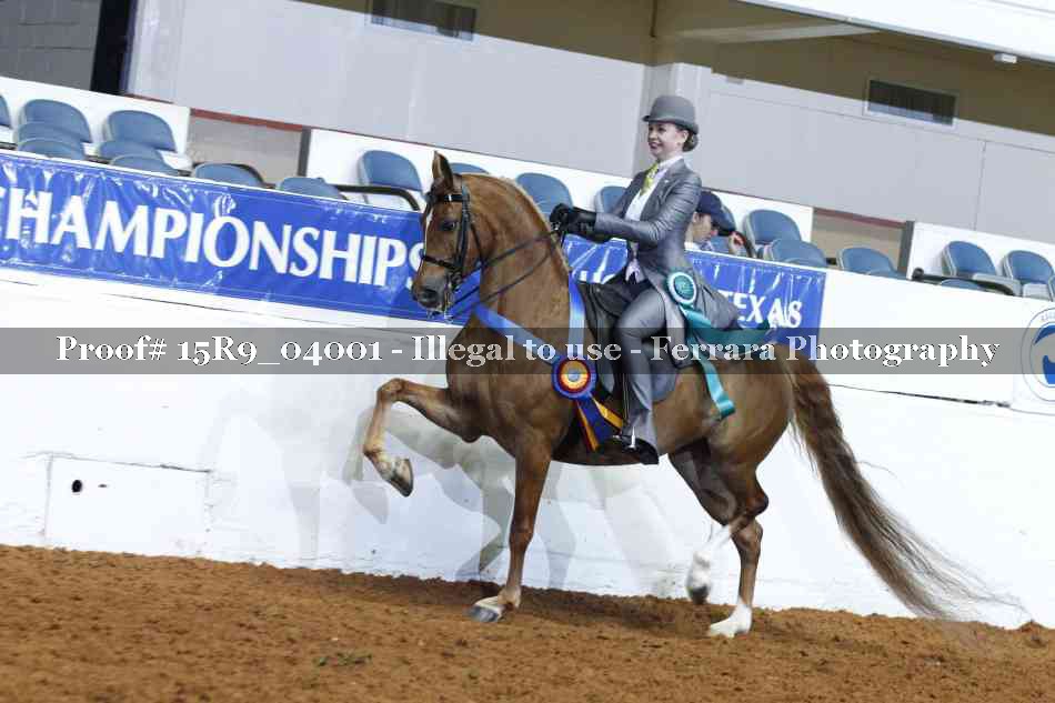 Proof Number 15R9_04001