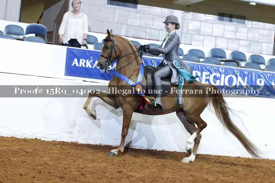 Proof Number 15R9_04002