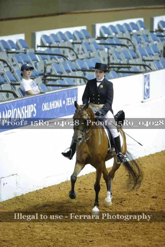 Proof Number 15R9_04028