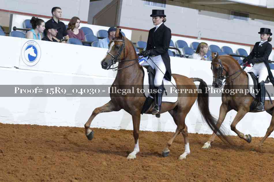 Proof Number 15R9_04030