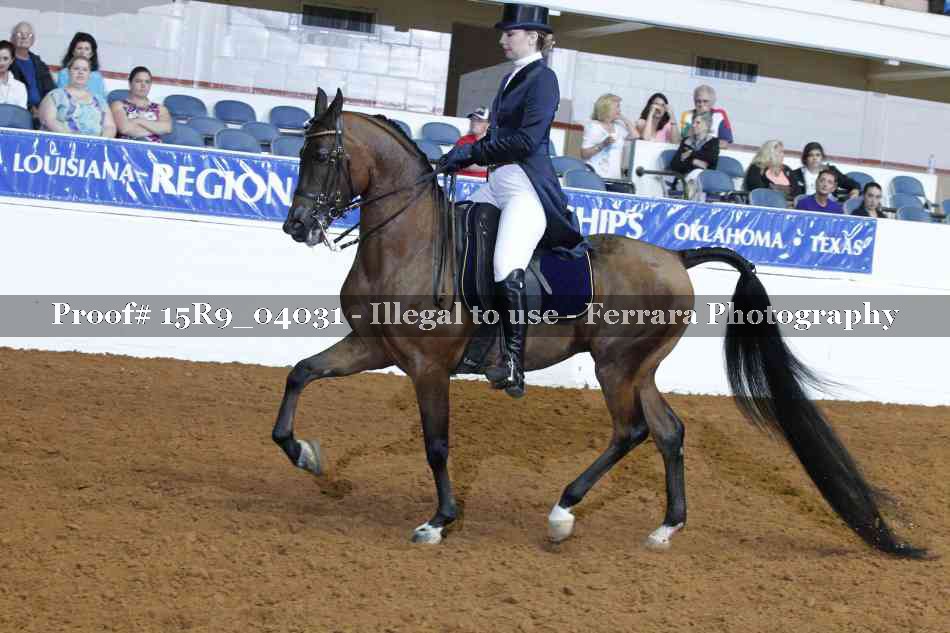 Proof Number 15R9_04031