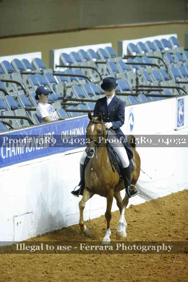 Proof Number 15R9_04032