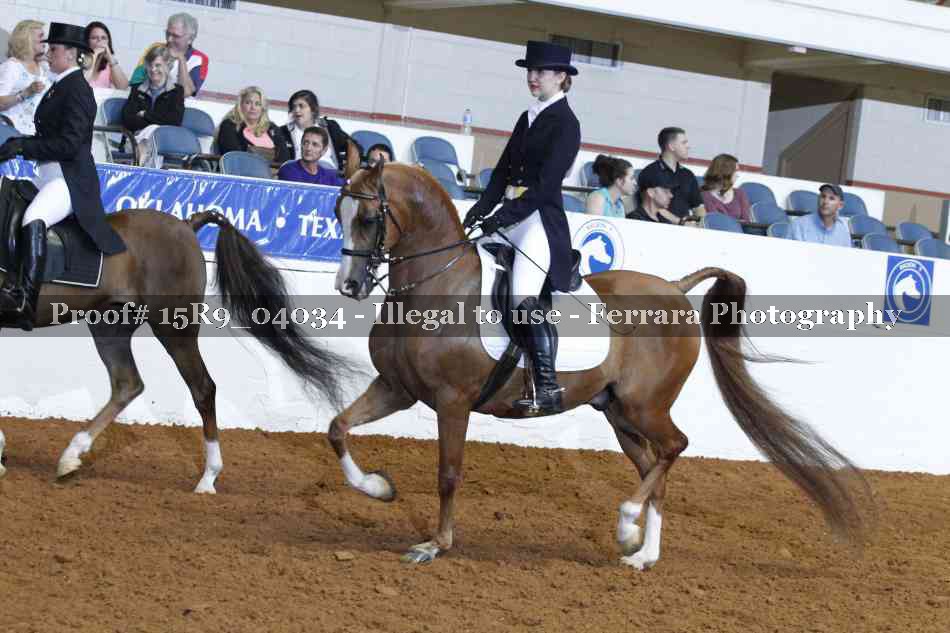 Proof Number 15R9_04034
