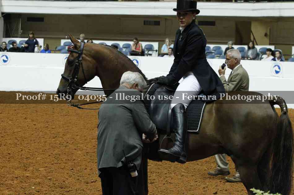 Proof Number 15R9_04035
