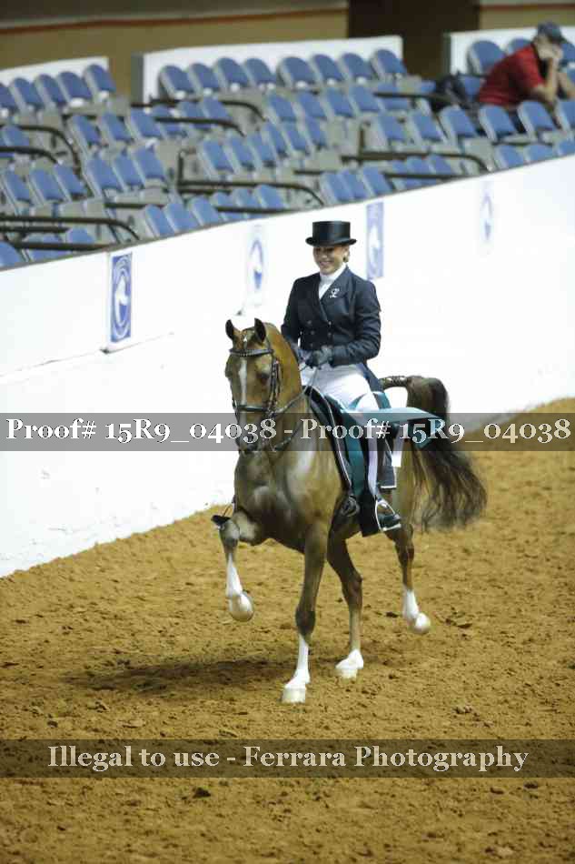 Proof Number 15R9_04038