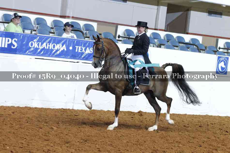 Proof Number 15R9_04040