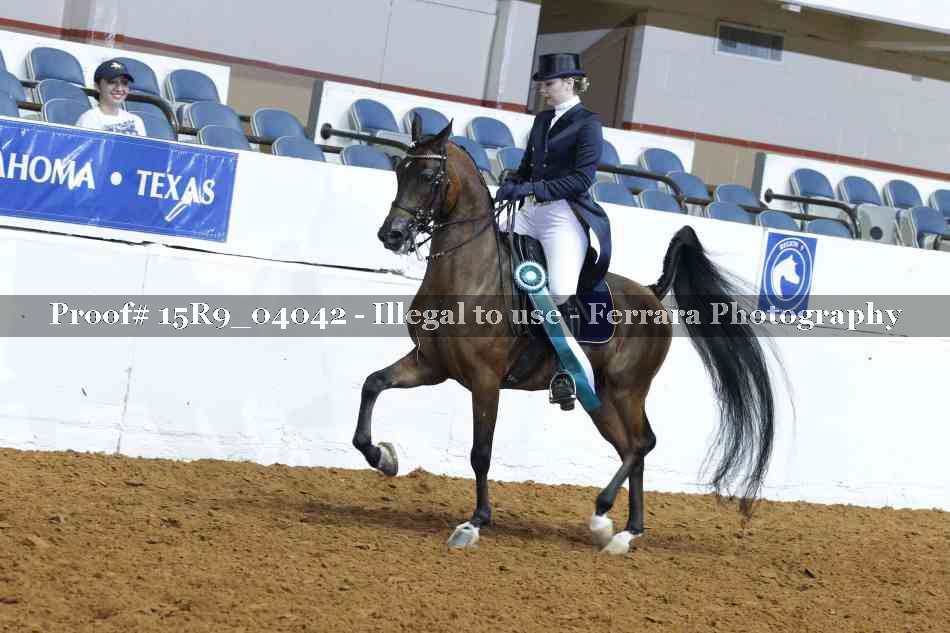 Proof Number 15R9_04042
