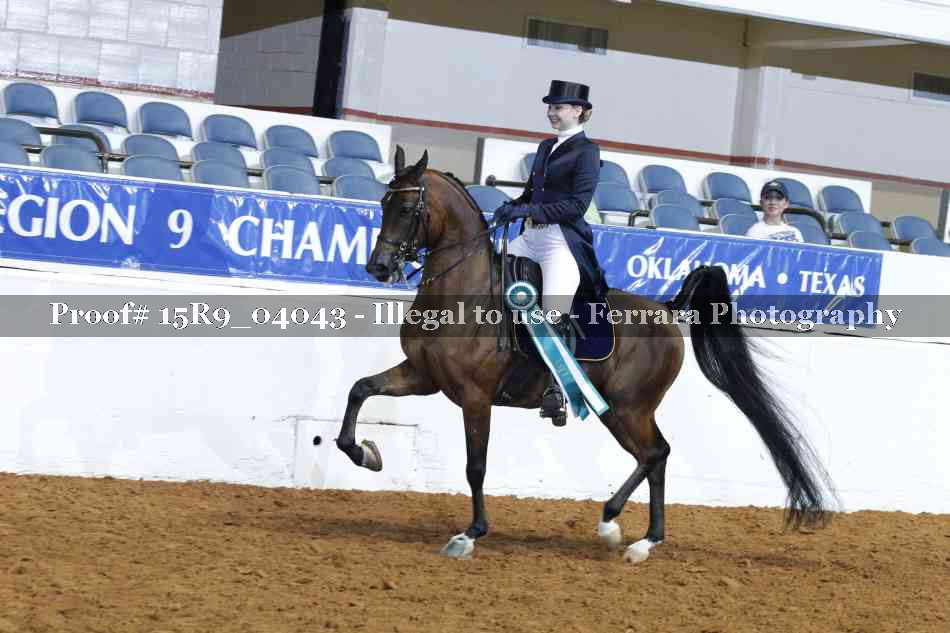 Proof Number 15R9_04043