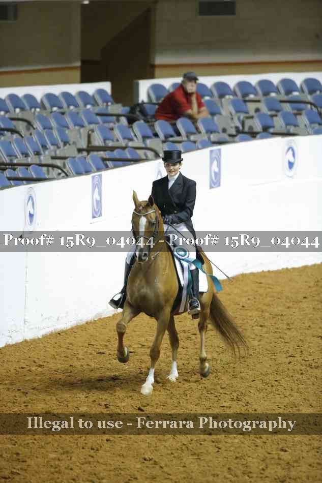 Proof Number 15R9_04044