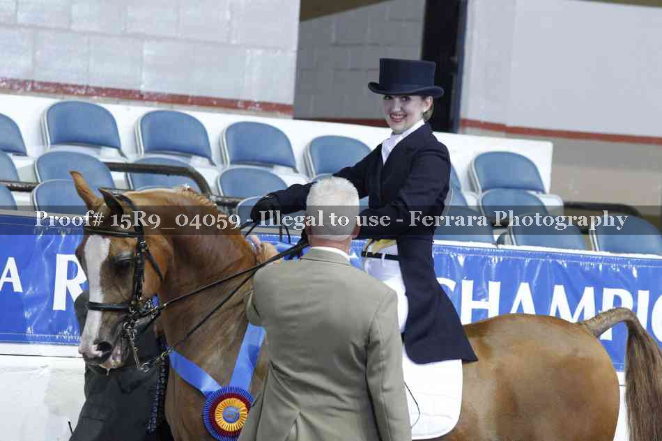 Proof Number 15R9_04059