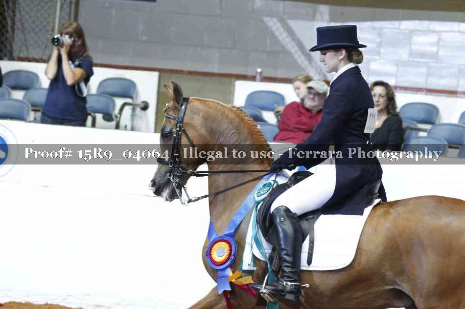 Proof Number 15R9_04064