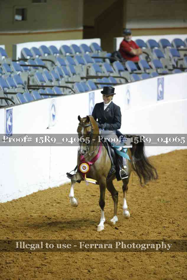 Proof Number 15R9_04065