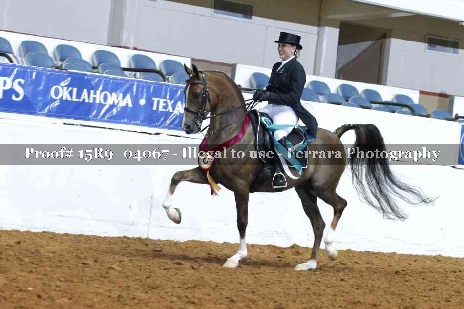 Proof Number 15R9_04067