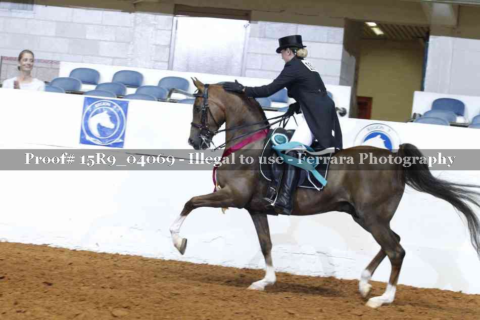 Proof Number 15R9_04069