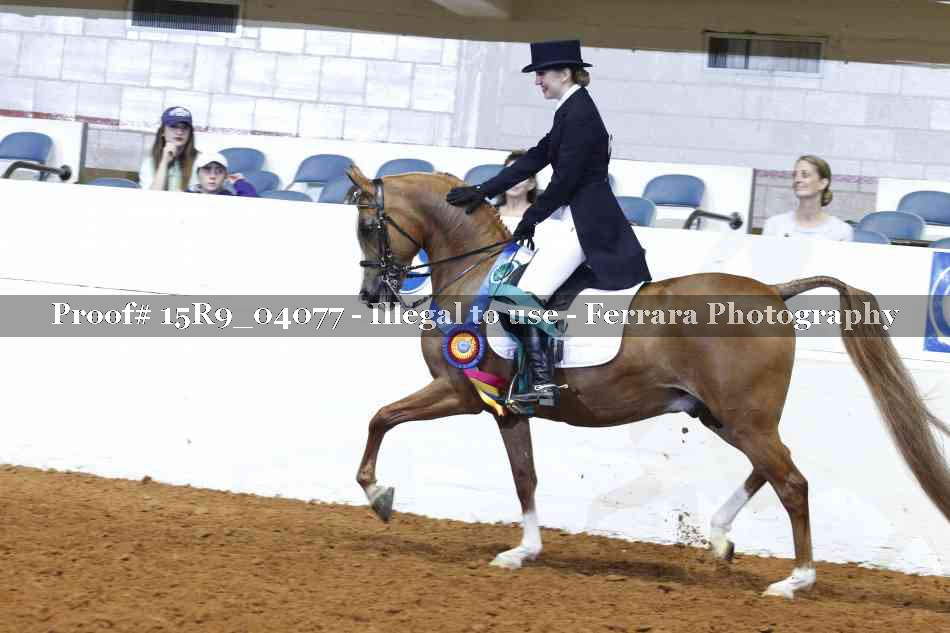 Proof Number 15R9_04077