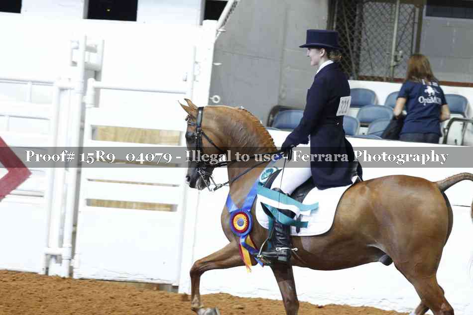 Proof Number 15R9_04079