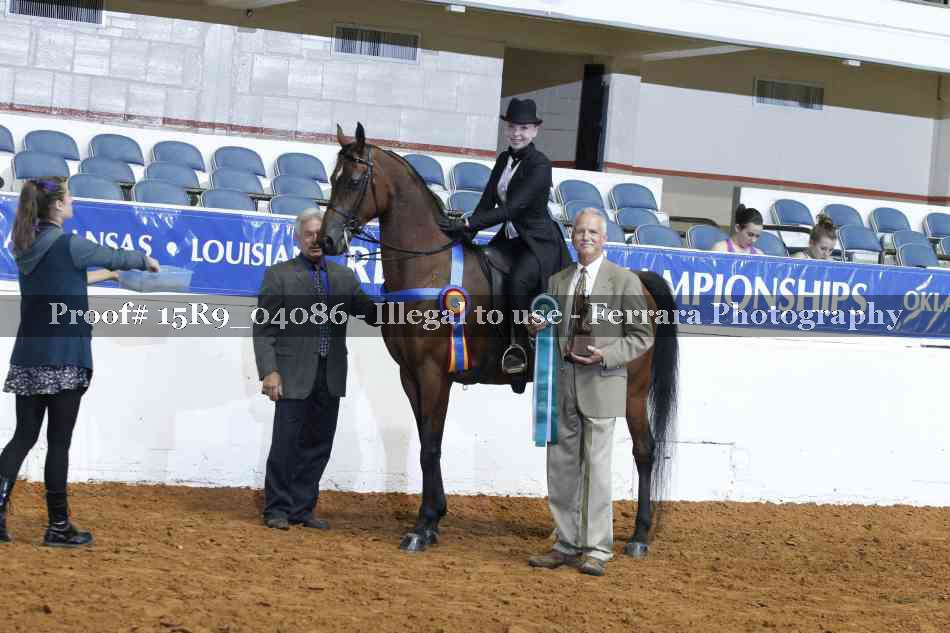 Proof Number 15R9_04086