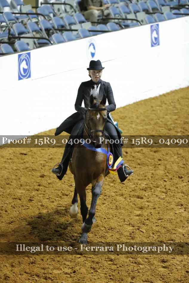 Proof Number 15R9_04090