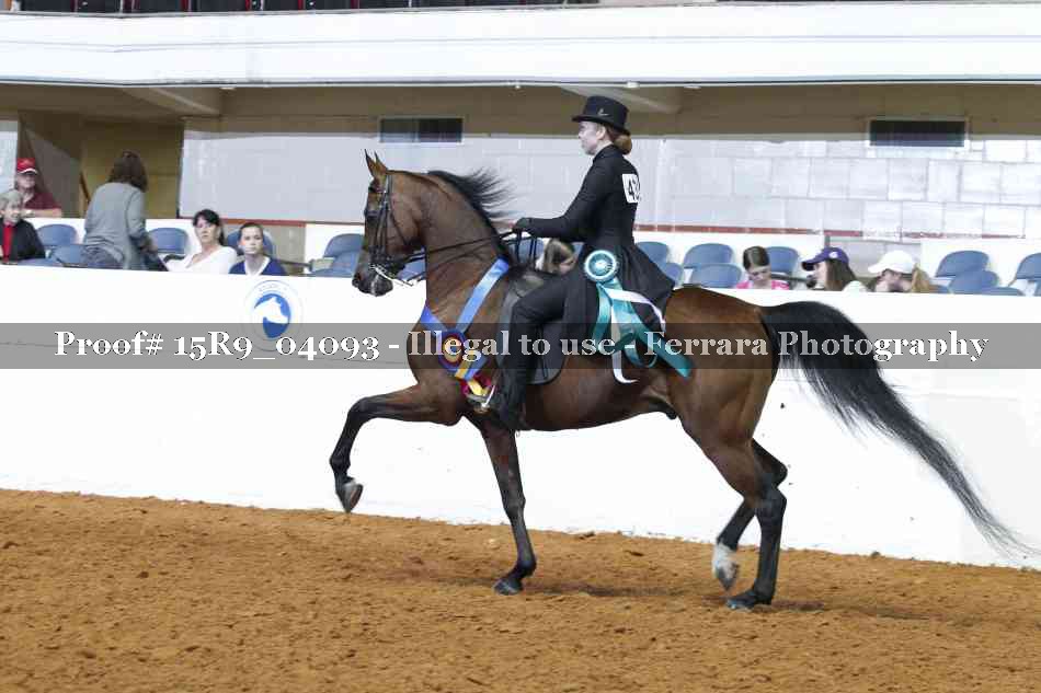 Proof Number 15R9_04093