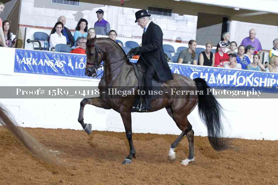 Proof Number 15R9_04118