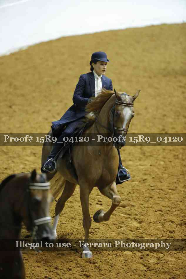 Proof Number 15R9_04120