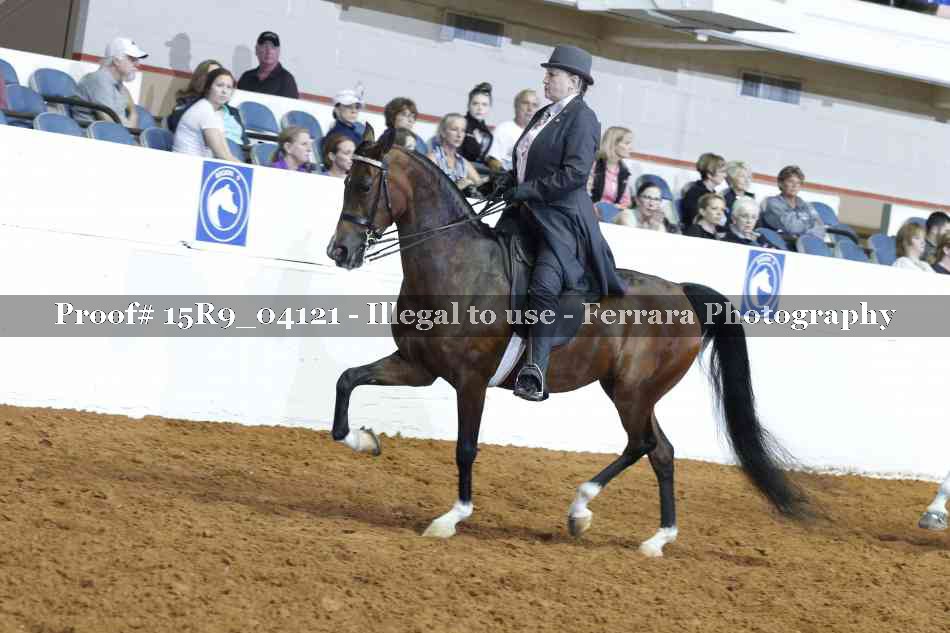 Proof Number 15R9_04121