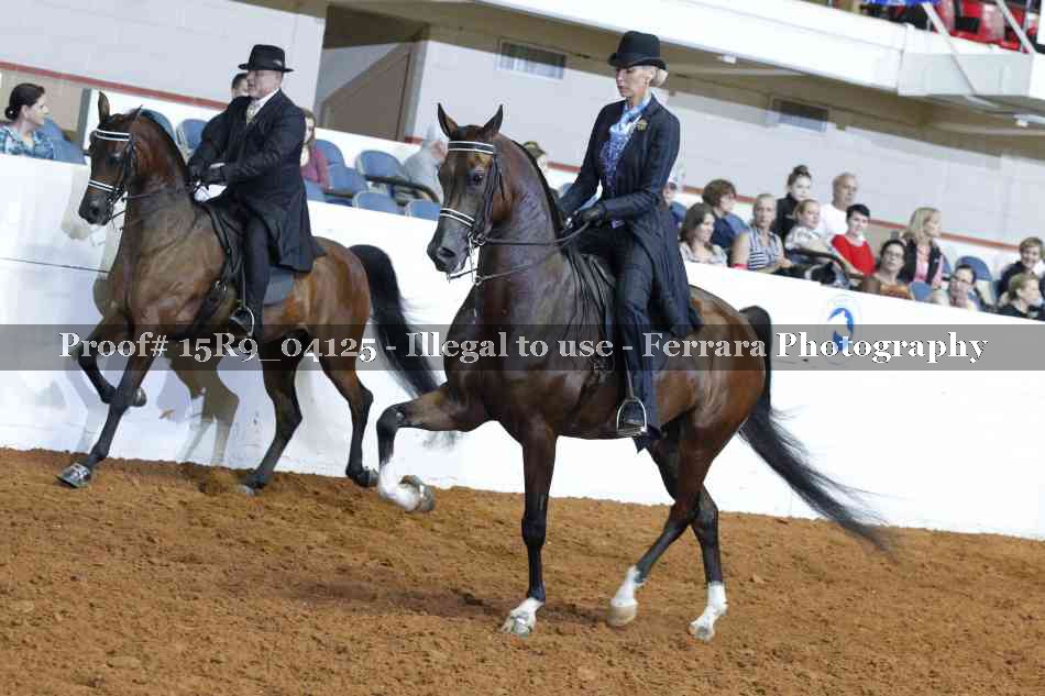 Proof Number 15R9_04125