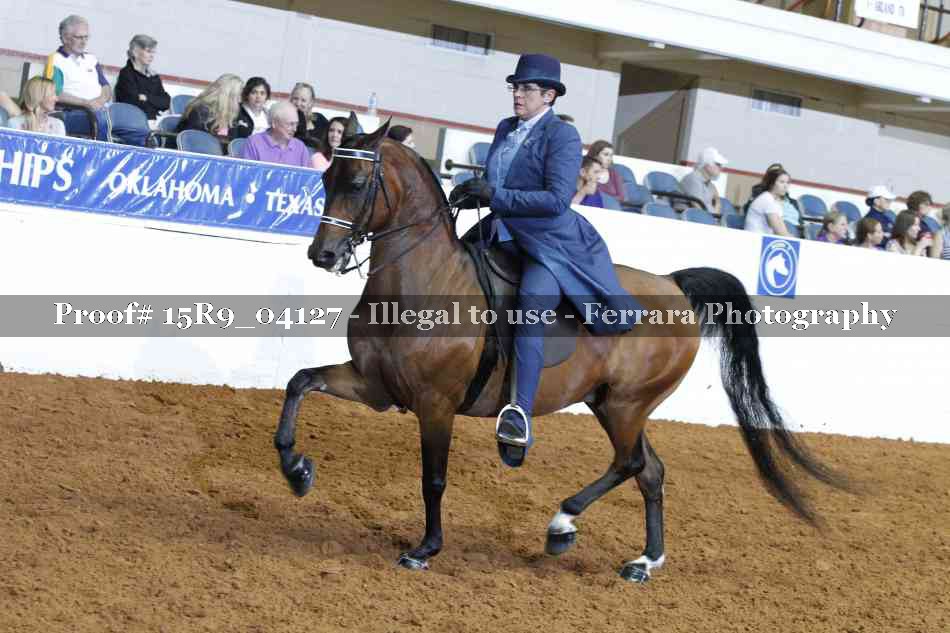 Proof Number 15R9_04127