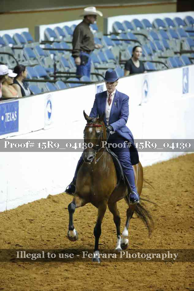 Proof Number 15R9_04130