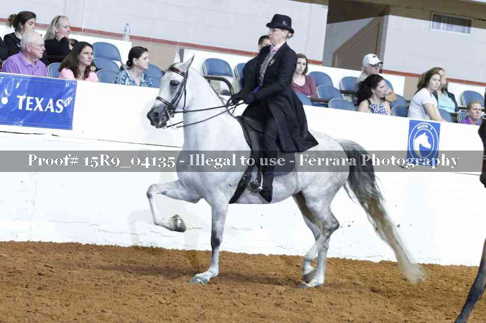 Proof Number 15R9_04135