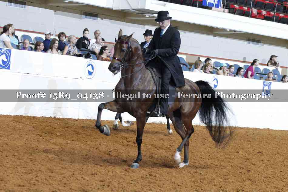 Proof Number 15R9_04138