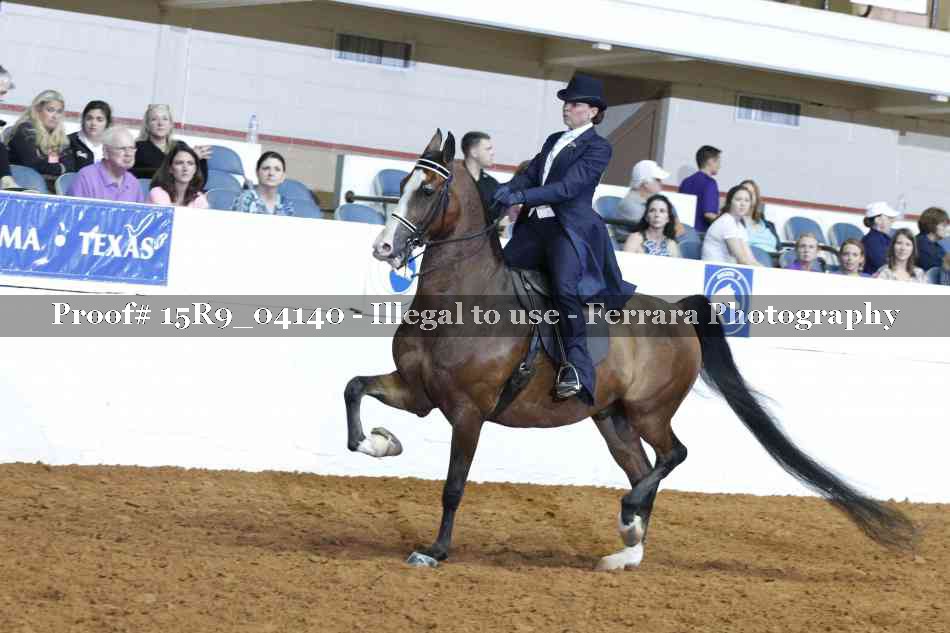 Proof Number 15R9_04140