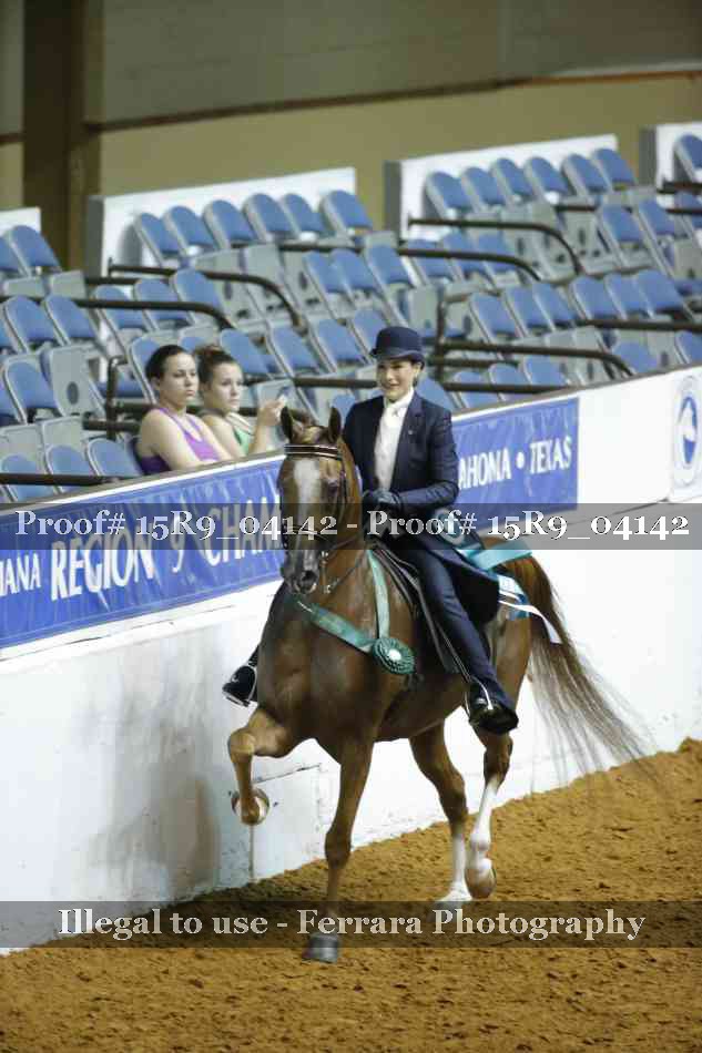 Proof Number 15R9_04142