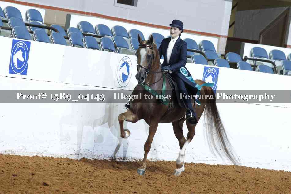 Proof Number 15R9_04143