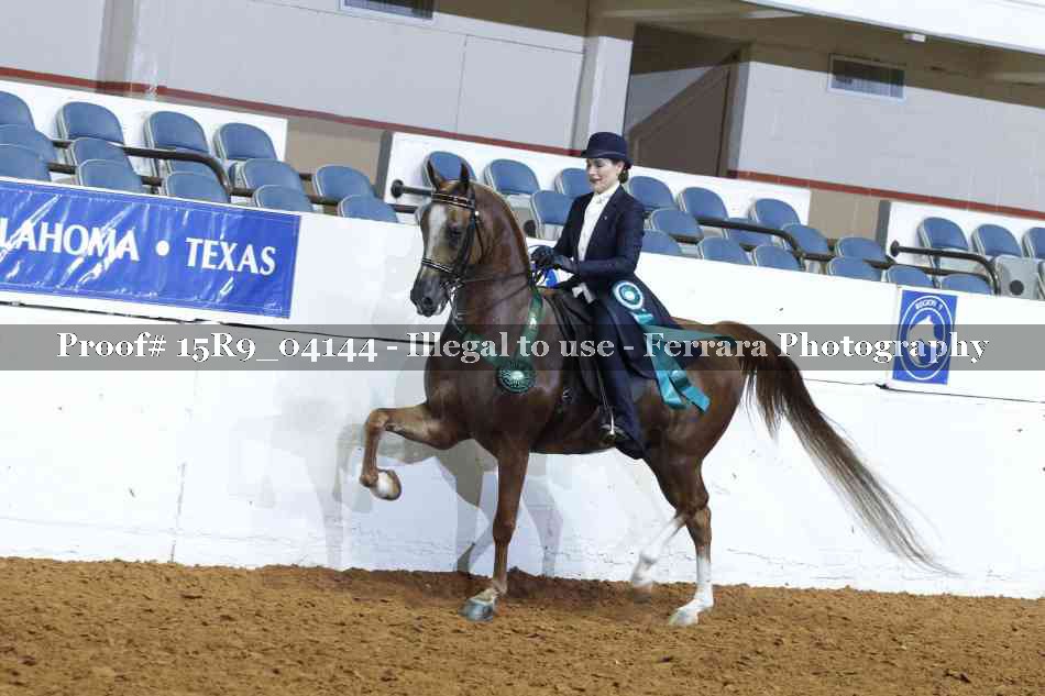 Proof Number 15R9_04144