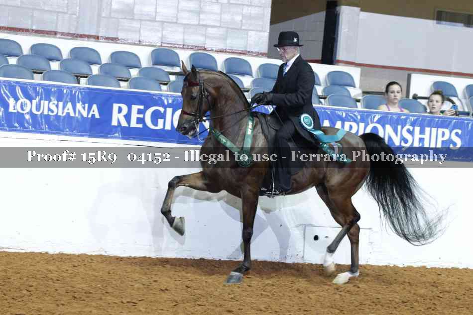 Proof Number 15R9_04152