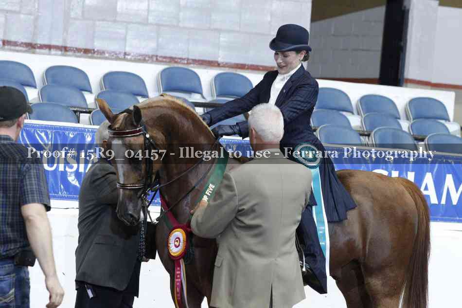 Proof Number 15R9_04157