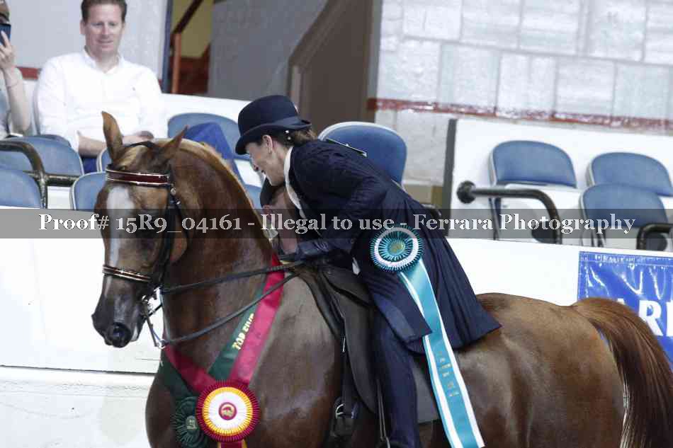 Proof Number 15R9_04161