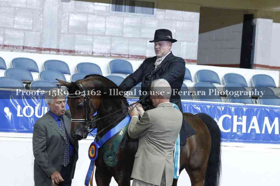 Proof Number 15R9_04162