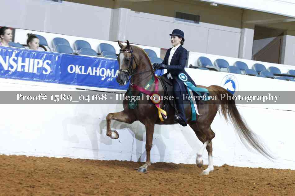 Proof Number 15R9_04168