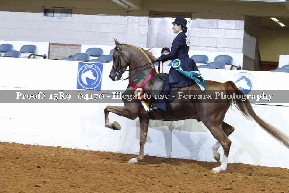 Proof Number 15R9_04170