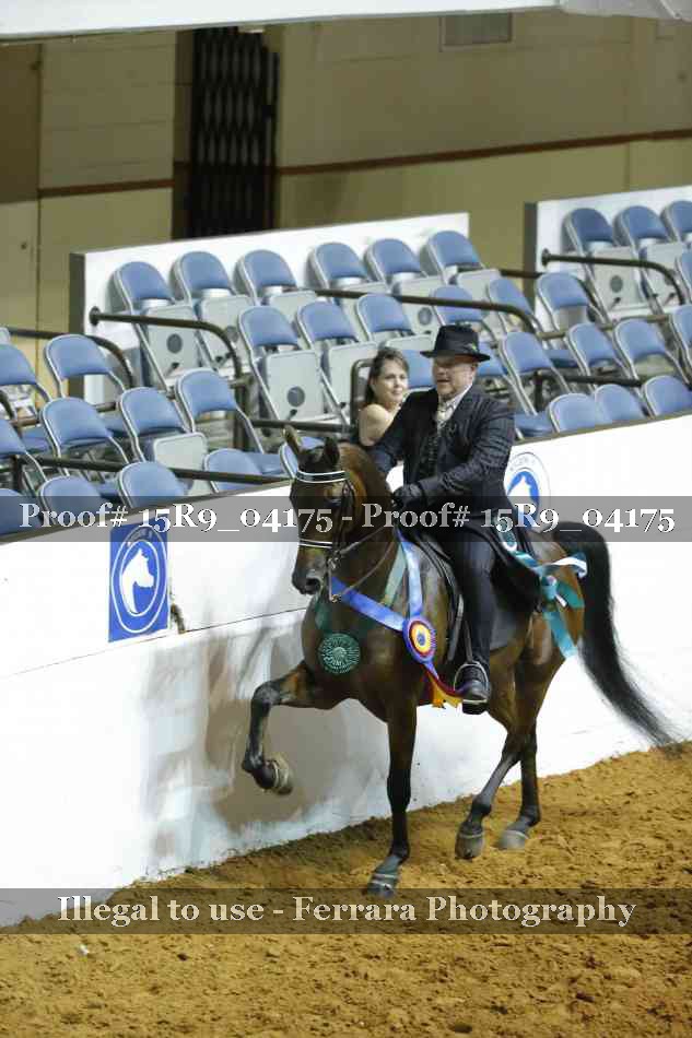 Proof Number 15R9_04175