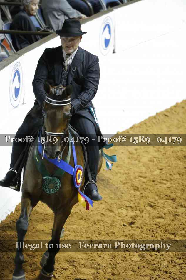 Proof Number 15R9_04179